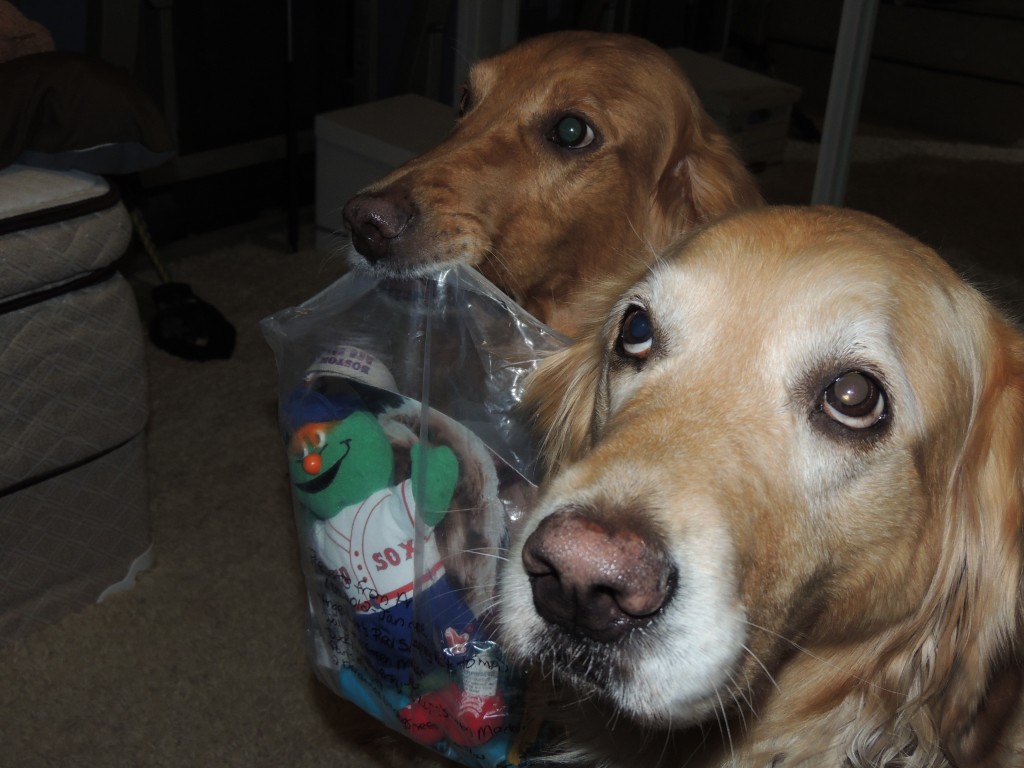 Koda mama sneaking a bag of Barney goodies from the box. Auntie Muncie looking all innocent..