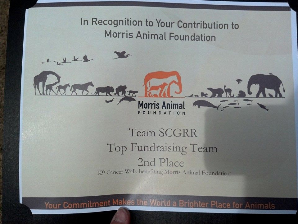 Team SCGRR Award